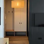 Apartmán Dzelzavas Loft *